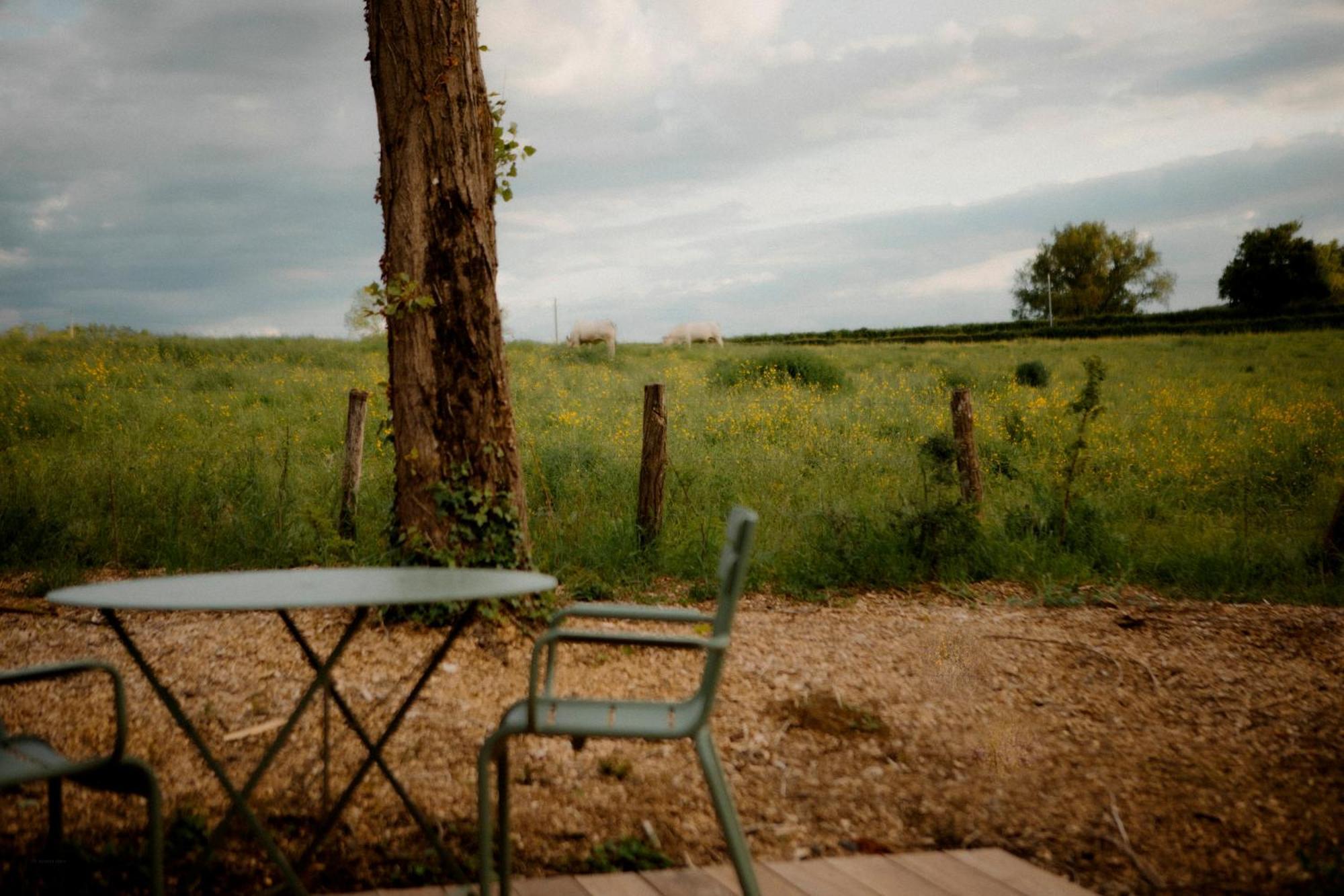 La Suite Nature By Lumipod X Tomette Singuliere Chateau  Esterno foto